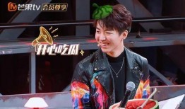 娱乐吃瓜君王俊凯百度云,揭秘明星背后的故事