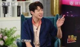 魏大勋何炅爆料视频播放,揭秘娱乐圈幕后故事